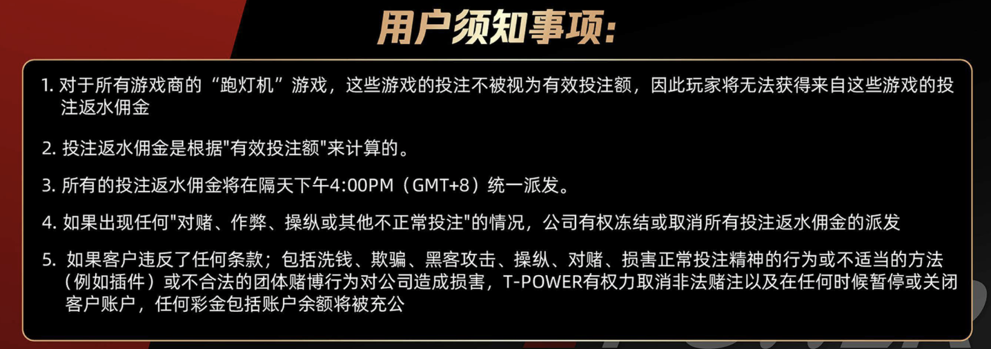 Essential User Guidelines for a Fair Experience at TOWER Casino